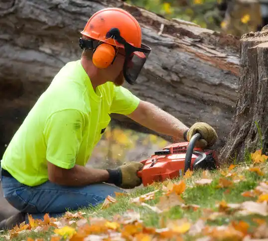 tree services Myersville